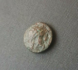 #f915# Greek bronze ae15 coin from Ptolemaic King Ptolemy I, 310-306 BC