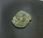 #j980# Anonymous Iberian Greek City Issue Bronze Coin of Cordoba from 75-25 BC