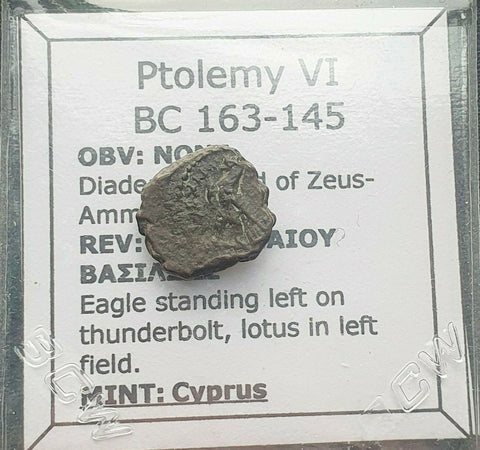 #k879# Greek Ptolemaic coin of King Ptolemy VI, 163-145 BC