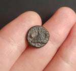 #g737# Greek Cyprus coin of King Nikokreon, 322-310 BC