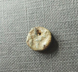 #f283# Anonymous copper Umayyad Fals coin from Spain 711-750 AD