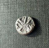 Anonymous silver Greek city issue drachm from Parion 500-400 BC