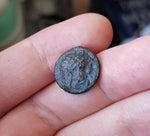 #f915# Greek bronze ae15 coin from Ptolemaic King Ptolemy I, 310-306 BC