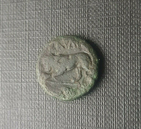 #f695# Anonymous Greek City Issue Bronze coin from Kardia 350-309 BC