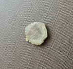 #f725# Small Greek Seleucid bronze coin of Antiochus III from 223-187 BC (Tyre)