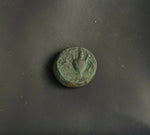 #i121# Anonymous Greek City Issue Bronze Coin of Sestos from 325-275 BC (Rare)