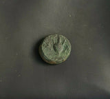 #i121# Anonymous Greek City Issue Bronze Coin of Sestos from 325-275 BC (Rare)