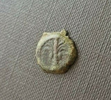 #f725# Small Greek Seleucid bronze coin of Antiochus III from 223-187 BC (Tyre)