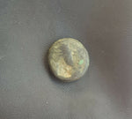 #i343# Roman provincial bronze coin of Vespasian from 76-77 AD (Ascalon)