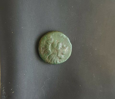 #g278# Anonymous Greek city issue bronze coin from Chersonesos 386-309 BC