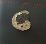 #j854# Roman Republican silver fouree denarius coin L. Marcius Philippus, 56 BC