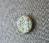 #f949# Anonymous Nabataean Bronze Prutah coin from Petra, 129-9 BC