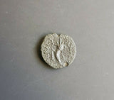 #g870# Greek Ptolemaic coin of King Ptolemy IX, 116-106 BC (Cornucopia)