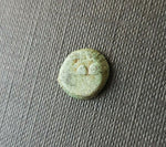 #e101# Greek bronze ae11 coin from Seleucid King Antiochus VII from 138-129 BC