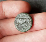 #f695# Anonymous Greek City Issue Bronze coin from Kardia 350-309 BC