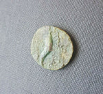 #f655# Greek Seleucid coin of Cleopatra Thea & Antiochos VIII from 125-121 BC