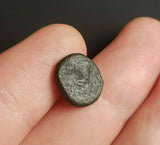 #g729# Cyprus Greek Bronze Coin of King Evagoras II from Salamis 361-351 BC