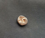 #i544# Anonymous silver Greek city issue Hemiobol coin from Kebren, 500-400 BC