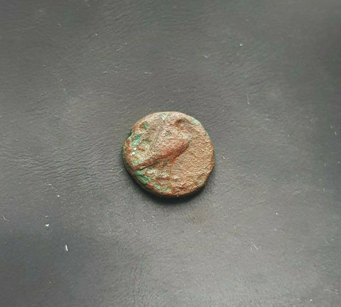 #h451# Anonymous Greek City Issue Bronze Coin of Kyme 350-320 BC