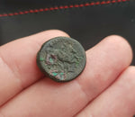 #h577# Greek bronze ae17 coin from Macedonian King Lysimachos from 320-317 BC