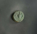 #i121# Anonymous Greek City Issue Bronze Coin of Sestos from 325-275 BC (Rare)