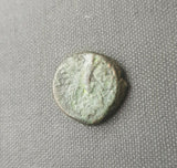 #f661# Greek Seleucid coin of Cleopatra Thea & Antiochos VIII from 125-121 BC