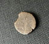 #f384# Greek bronze ae12 coin from Seleucid King Antiochus III, 222-187 BC