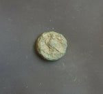 #i715# Greek bronze ae11 coin from Ptolemaic King Ptolemy II, 285-246 BC