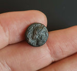 #g785# Greek Cyprus coin of King Timocharis, 350-332 BC