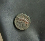 #f663# Greek Seleucid coin of Cleopatra Thea & Antiochus VIII from 125-121 BC