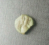 #f733# Nabataean Bronze Prutah Coin of Aretas IV from BC 9-40 AD