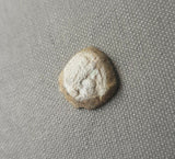 #f719# Greek bronze ae12 coin from Seleucid King Antiochus III, 222-187 BC