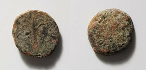 #d795# Anonymous Greek city issue bronze coin from Tyre minted 125-1 BC