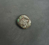 #g769# Greek Macedonian coin of King Demetrios I, 306-283 BC