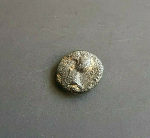 #g780# Greek Cyprus coin of King Timocharis, 350-332 BC