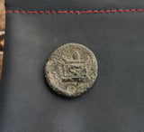 #i106# Anonymous Greek city issue bronze coin from Priapos 400-300 BC