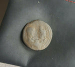 #j469# Roman Provincial coin of Gordian III from 238-244 AD (Marcianopolis)