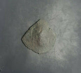 #j551# Byzantine Trachy coin from Latin Occupation of Constantinople 1204-1261
