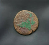 #i135# Large Roman bronze Sestertius coin of Nerva from 96-98 AD