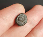 #g729# Cyprus Greek Bronze Coin of King Evagoras II from Salamis 361-351 BC