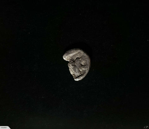 #L371# Rare Anonymous silver Greek city issue coin from Samos 550-400 BC