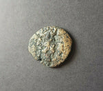 #g550# Anonymous bronze Geek city issue coin from Olbia from 350-300 BC