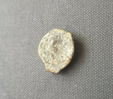 #f919# Greek Ptolemaic coin of King Ptolemy IX, 116-106 BC