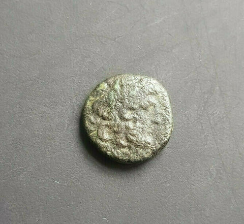 #g796# Greek Ptolemaic coin of King Ptolemy IV, 163-145 BC