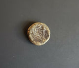 #g428# Anonymous Greek City Issue coin of Elaia from 200-1 BC