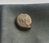 #k878# Greek Ptolemaic coin of King Ptolemy VI, 163-145 BC