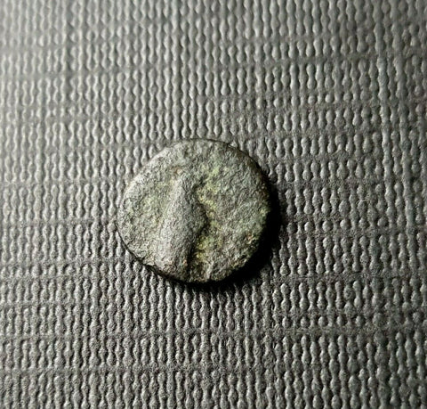 #f144# Anonymous Greek City Issue Bronze Coin of Kyme 350-250 BC
