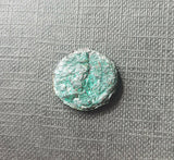 #f732# Roman provincial coin of Titus from Gadara, 69-79 AD