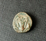 #f352# Anonymous Greek City Issue coin of Alopekonnesos from 400-350 BC